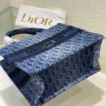 Christian Dior Small Dior Book Tote Blue